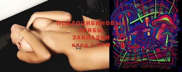 трава Беслан