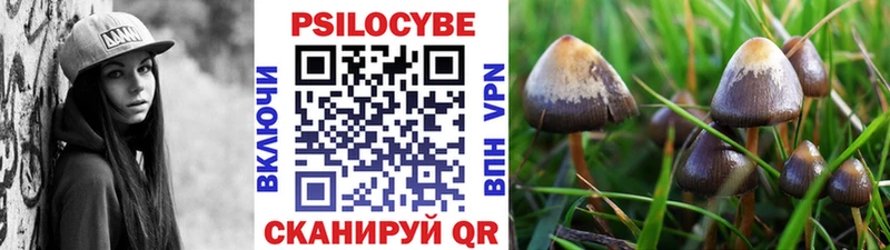 Галлюциногенные грибы прущие грибы  Купить закладки  Енисейск 
